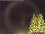Archiv Foto Webcam Naturschutzgebiet "Allgäuer Hochalpen" vom Kinderhotel Oberjoch aus gesehen 01:00