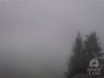 Archiv Foto Webcam Naturschutzgebiet "Allgäuer Hochalpen" vom Kinderhotel Oberjoch aus gesehen 15:00