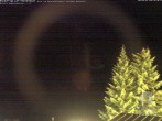 Archiv Foto Webcam Naturschutzgebiet "Allgäuer Hochalpen" vom Kinderhotel Oberjoch aus gesehen 01:00