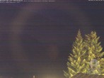 Archiv Foto Webcam Naturschutzgebiet "Allgäuer Hochalpen" vom Kinderhotel Oberjoch aus gesehen 01:00