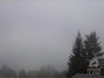 Archiv Foto Webcam Naturschutzgebiet "Allgäuer Hochalpen" vom Kinderhotel Oberjoch aus gesehen 05:00