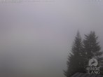 Archiv Foto Webcam Naturschutzgebiet "Allgäuer Hochalpen" vom Kinderhotel Oberjoch aus gesehen 06:00