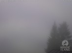 Archiv Foto Webcam Naturschutzgebiet "Allgäuer Hochalpen" vom Kinderhotel Oberjoch aus gesehen 09:00