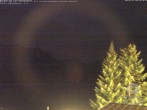Archiv Foto Webcam Naturschutzgebiet "Allgäuer Hochalpen" vom Kinderhotel Oberjoch aus gesehen 01:00