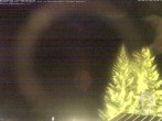 Archiv Foto Webcam Naturschutzgebiet "Allgäuer Hochalpen" vom Kinderhotel Oberjoch aus gesehen 03:00