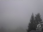 Archiv Foto Webcam Naturschutzgebiet "Allgäuer Hochalpen" vom Kinderhotel Oberjoch aus gesehen 13:00