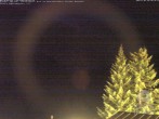 Archiv Foto Webcam Naturschutzgebiet "Allgäuer Hochalpen" vom Kinderhotel Oberjoch aus gesehen 01:00