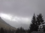 Archiv Foto Webcam Naturschutzgebiet "Allgäuer Hochalpen" vom Kinderhotel Oberjoch aus gesehen 11:00