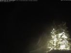 Archiv Foto Webcam Naturschutzgebiet "Allgäuer Hochalpen" vom Kinderhotel Oberjoch aus gesehen 01:00