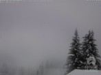 Archiv Foto Webcam Naturschutzgebiet "Allgäuer Hochalpen" vom Kinderhotel Oberjoch aus gesehen 09:00