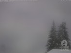 Archiv Foto Webcam Naturschutzgebiet "Allgäuer Hochalpen" vom Kinderhotel Oberjoch aus gesehen 11:00