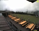 Archiv Foto Webcam Reitlehen Alm am Monte Popolo, Eben im Pongau 11:00