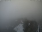 Archived image Webcam "Tegelberg" mountain station - Branderschrofen view 11:00