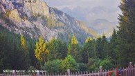 Archiv Foto Webcam Talblick von der Rohrkopfhütte 05:00