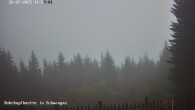 Archiv Foto Webcam Talblick von der Rohrkopfhütte 11:00
