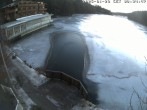 Archiv Foto Webcam Blick über den Tristachersee 07:00