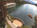 Archiv Foto Webcam Blick über den Tristachersee 11:00