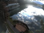 Archiv Foto Webcam Blick über den Tristachersee 06:00