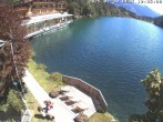 Archiv Foto Webcam Blick über den Tristachersee 11:00
