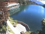 Archiv Foto Webcam Blick über den Tristachersee 11:00