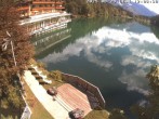 Archiv Foto Webcam Blick über den Tristachersee 11:00