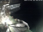 Archiv Foto Webcam Blick über den Tristachersee 03:00
