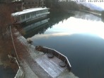 Archived image Webcam View of the Tristachersee 15:00
