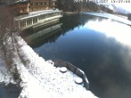 Archiv Foto Webcam Blick über den Tristachersee 11:00