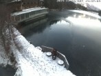 Archived image Webcam View of the Tristachersee 13:00