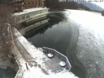 Archiv Foto Webcam Blick über den Tristachersee 07:00