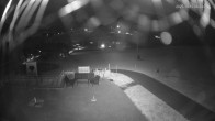 Archiv Foto Webcam Schrannenhof am Diedamskopf 05:00