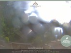 Archiv Foto Webcam Altenmarkt: Hotel Schartner 06:00