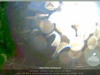 Archiv Foto Webcam Altenmarkt: Hotel Schartner 05:00
