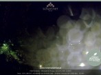 Archiv Foto Webcam Altenmarkt: Hotel Schartner 21:00