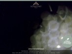 Archived image Webcam Altenmarkt im Pongau: Hotel Schartner 23:00