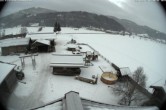 Archived image Webcam Organic farm Arnoldgut in Altenmarkt 07:00