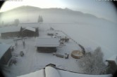 Archived image Webcam Organic farm Arnoldgut in Altenmarkt 07:00