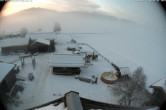 Archived image Webcam Organic farm Arnoldgut in Altenmarkt 07:00