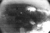 Archiv Foto Webcam Bauernhof Arnoldgut in Altenmarkt 23:00