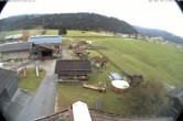 Archived image Webcam Organic farm Arnoldgut in Altenmarkt 11:00