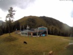 Archiv Foto Webcam Bergstation Höfi Express II (1821 m) 11:00