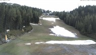 Archiv Foto Webcam Skigebiet Hauser Kaibling: FIS Abfahrt 15:00