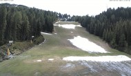 Archiv Foto Webcam Skigebiet Hauser Kaibling: FIS Abfahrt 13:00