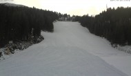 Archived image Webcam Ski Resort Hauser Kaibling: FIS trail 13:00