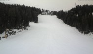 Archiv Foto Webcam Skigebiet Hauser Kaibling: FIS Abfahrt 02:00