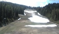 Archiv Foto Webcam Skigebiet Hauser Kaibling: FIS Abfahrt 11:00