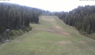 Archiv Foto Webcam Skigebiet Hauser Kaibling: FIS Abfahrt 11:00