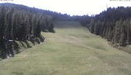 Archiv Foto Webcam Skigebiet Hauser Kaibling: FIS Abfahrt 11:00