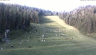 Archiv Foto Webcam Skigebiet Hauser Kaibling: FIS Abfahrt 05:00