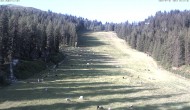 Archiv Foto Webcam Skigebiet Hauser Kaibling: FIS Abfahrt 06:00